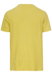 CAMEL ACTIVE T-Shirt kiwi/mischfarben