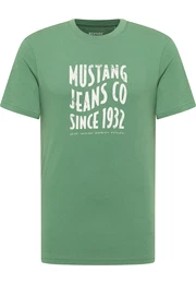 T-Shirt 'AUSTIN' grn / wei