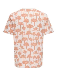 Only & Sons T-Shirt 'ONSKYLEN' mandarine/offwhite