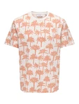 Only & Sons T-Shirt 'ONSKYLEN' mandarine/offwhite