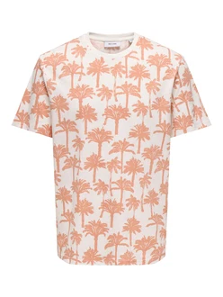 Only & Sons T-Shirt 'ONSKYLEN'