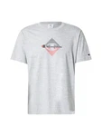Champion Authentic Athletic Apparel T-Shirt marine / graumeliert / rot
