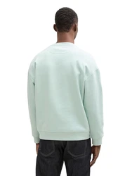 TOM TAILOR Denim Sweatshirt mit Logo Print mint