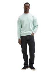 TOM TAILOR Denim Sweatshirt mit Logo Print mint