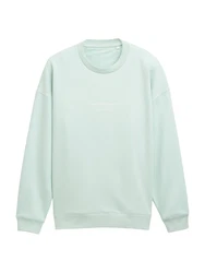TOM TAILOR Denim Sweatshirt mit Logo Print mint