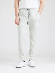 Champion Authentic Athletic Apparel Hose minze