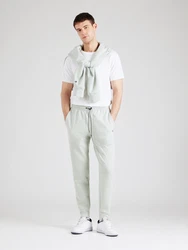 Champion Authentic Athletic Apparel Hose minze