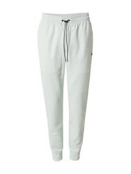 Champion Authentic Athletic Apparel Hose minze