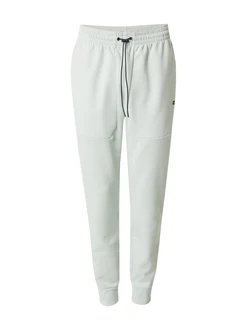 Champion Authentic Athletic Apparel Hose minze