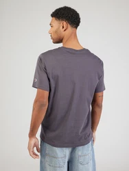 Champion Authentic Athletic Apparel T-Shirt brombeer