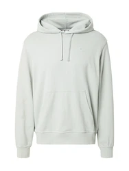 Champion Authentic Athletic Apparel Sweatshirt pastellgrün