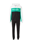 Champion Authentic Athletic Apparel Jogginganzug Grün/Dunkelgrün/Grün/Dunkelgrün/Grün/Dunkelgrün/Grün/Dunkelgrün