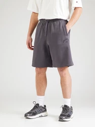 Champion Authentic Athletic Apparel Shorts aubergine/schwarz