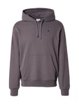 Champion Authentic Athletic Apparel Sweatshirt brombeer