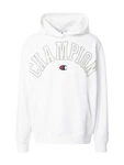 Champion Authentic Athletic Apparel Sweatshirt marine/hellgrau/weiß