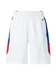 Champion Authentic Athletic Apparel Shorts blau/rot/weiß