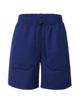 Champion Authentic Athletic Apparel Shorts marineblau