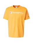 Champion Authentic Athletic Apparel T-Shirt orange/offwhite Champion Authentic Athletic Apparel T-Shirt orange/offwhite