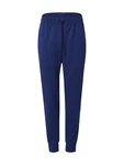 Champion Authentic Athletic Apparel Hose dunkelblau