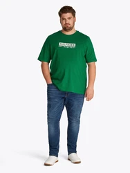 Tommy Hilfiger Big & Tall T-Shirt grün/weiß