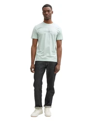 TOM TAILOR DENIM T-Shirt navy/pastellgrn/weiß