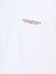 Jack & Jones Plus T-Shirt JORBOSTON taubenblau / hummer / schwarz / weiß