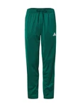 ADIDAS SPORTSWEAR Sporthose smaragd/weiß