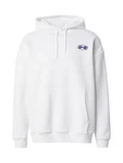 HOLLISTER Sweatshirt hellblau/dunkelblau/weiß