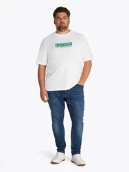 Tommy Hilfiger Big & Tall T-Shirt grün/weiß