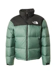 THE NORTH FACE Jacke 1996 Retro Nuptse Grün/Dunkelgrün/Grün/Dunkelgrün/Grün/Dunkelgrün/Grün/Dunkelgrün/Grün/Dunkelgrün/Grün/Dunkelgrün/Grün/Dunkelgrün/Grün/Dunkelgrün/Grün/Dunkelgrün/Grün/Dunkelgrün/Grün/Dunkelgrün/Grün/Dunkelgrün/Grün/Dunkelgrün/Grün/Dunkelgrün/Grün/Dunkelgrün/Grün/Dunkelgrün/Grün/Dunkelgrün/Grün/Dunkelgrün/Grün/Dunkelgrün/Grün/Dunkelgrün/Grün/Dunkelgrün/Grün/Dunkelgrün/Grün/Dunkelgrün/Grün/Dunkelgrün/Grün/Dunkelgrün/Grün/Dunkelgrün/Grün/Dunkelgrün