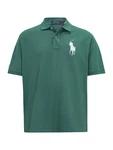 Polo Ralph Lauren Big & Tall Poloshirt grün / weiß