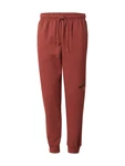 Jordan Hose ESS rostbraun/schwarz