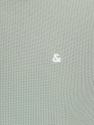Jack & Jones Plus Poloshirt JJEAUSTIN pastellgrün/weiß