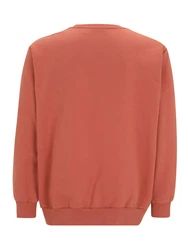 Levi's Big & Tall Sweatshirt 'Original Housemark Crewneck Sweatshirt' 