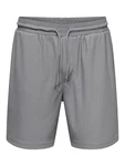 Only & Sons Shorts 'ONSTEL' dunkelgrau