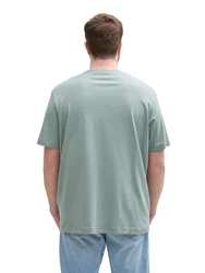 TOM TAILOR Men + T-Shirt pastellgrün/weiß