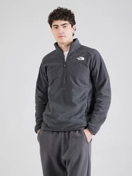 THE NORTH FACE GLACIER Funktionsfleecejacke/Sportpullover dunkelgrau / offwhite