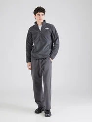 THE NORTH FACE GLACIER Funktionsfleecejacke/Sportpullover dunkelgrau / offwhite