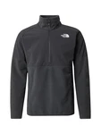 THE NORTH FACE GLACIER Funktionsfleecejacke/Sportpullover dunkelgrau / offwhite