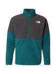 THE NORTH FACE GLACIER Funktionsfleecejacke/Sportpullover dunkelgrau / petrol