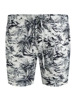 Tommy Hilfiger Big & Tall Shorts 'BROOKLYN'