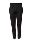 ADIDAS ORIGINALS Hose 'Adicolor Classics Sst' grün / rot / schwarz