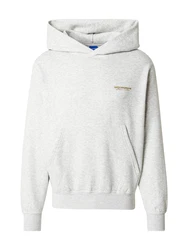 Jack & Jones Sweatshirt Hoodie JORISLINGTON BACK SWEAT HOOD hellbraun/hellgrn/weimeliert