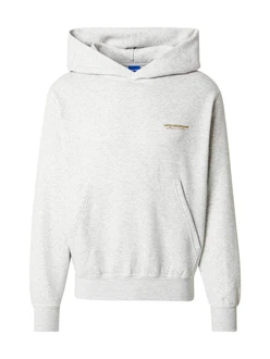 Jack & Jones Sweatshirt Hoodie JORISLINGTON BACK SWEAT HOOD hellbraun/hellgrn/weimeliert Jack & Jones Sweatshirt Hoodie JORISLINGTON BACK SWEAT HOOD hellbraun/hellgrn/weimeliert