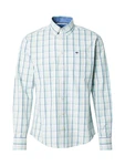 FYNCH-HATTON Hemd blau / pastellgelb / mint / weiß