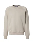 Carhartt WIP Sweatshirt 'Chase' kitt