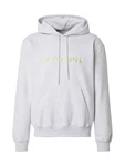 Carhartt WIP Sweatshirt graumeliert/apfel
