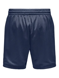 Only & Sons Shorts 'ONSDARREN' dunkelblau/weiß