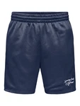 Only & Sons Shorts 'ONSDARREN' dunkelblau/weiß