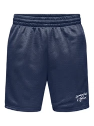 Only & Sons Shorts 'ONSDARREN' dunkelblau/weiß
